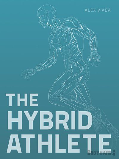 1428439170_hybrid-cover-1a.jpg
