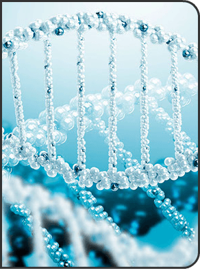 1450486664_dnk-u8038.png