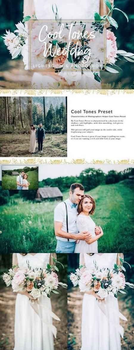 1499148065_cool-tones-wedding-presets-lr-ps-1309875.jpg