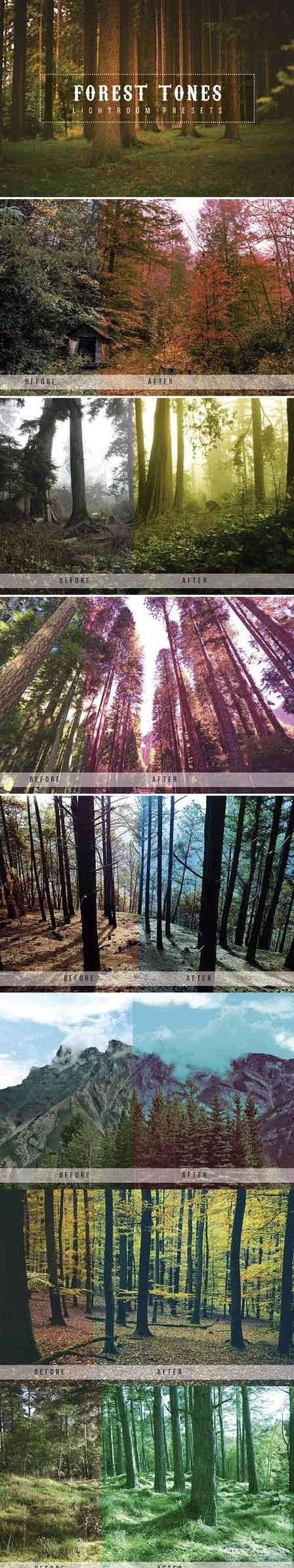 1507270500_forest-tone-lightroom-presets-1904563.jpg