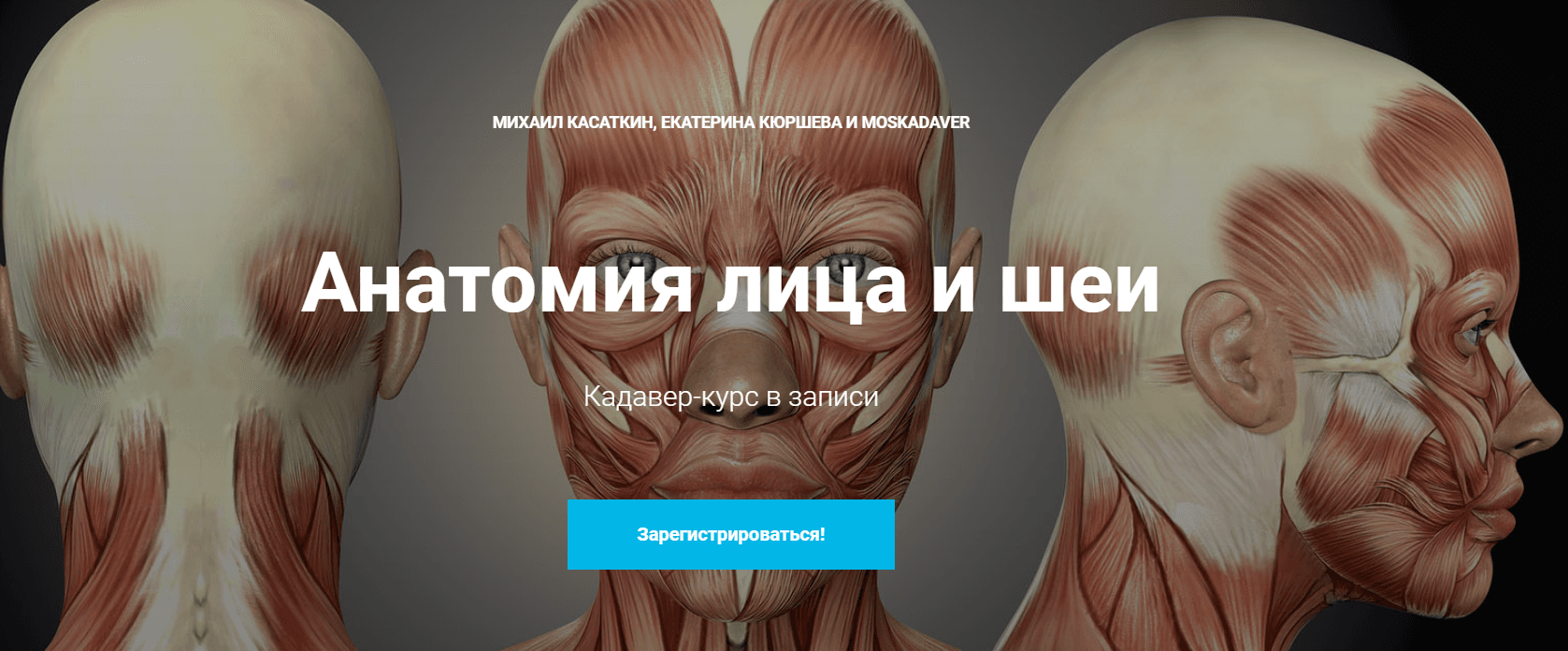 1607329514242.png