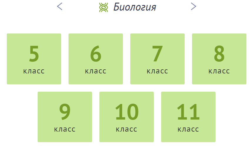 1611924482993.png