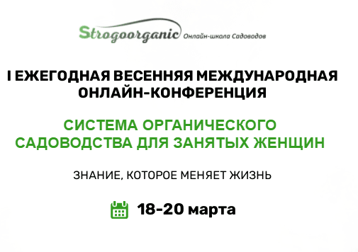 1621287151774.png