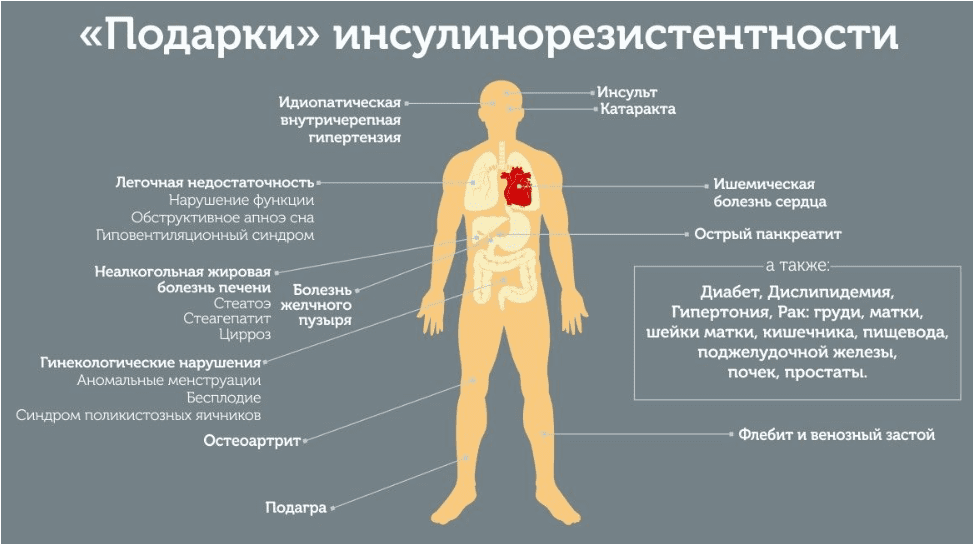 1691454891073.png