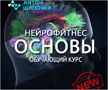 1693089520080.png