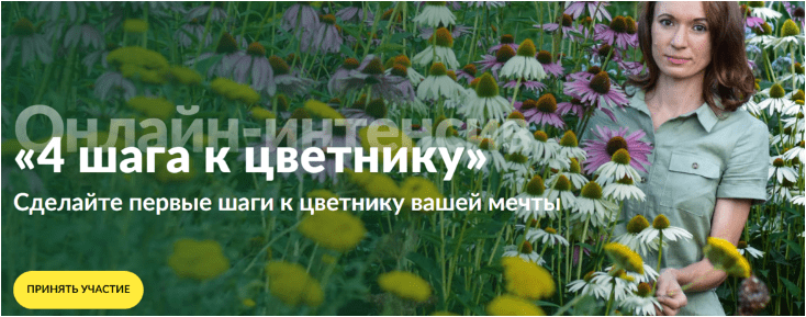 1701387964366.png