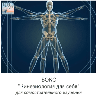 1708045098147.png