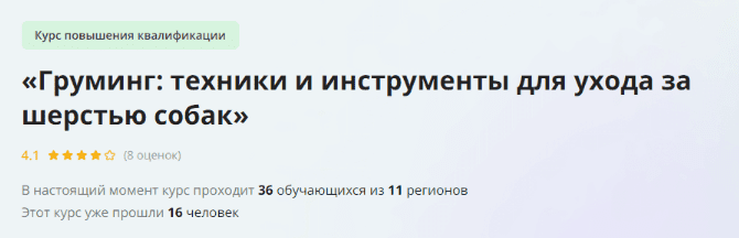 1729841353664.png