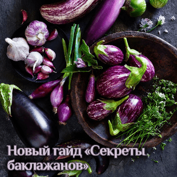 1736885582551.png