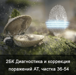 1737837692685.png