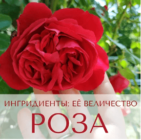 1739580067698.png