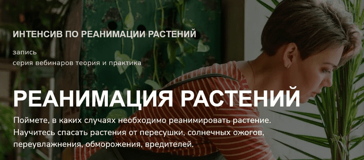 1739580453840.png