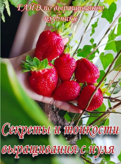 1745663663594.png