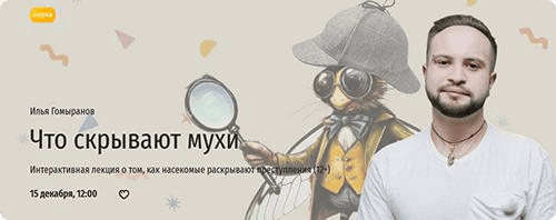 1748644239921.png