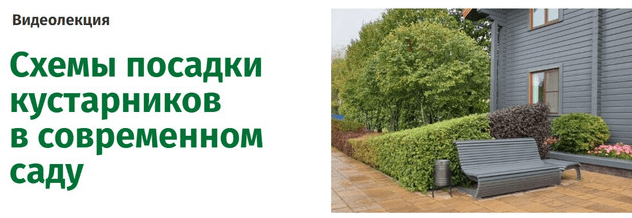 1750599730871.png