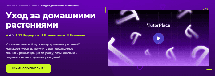 1765835289637.png