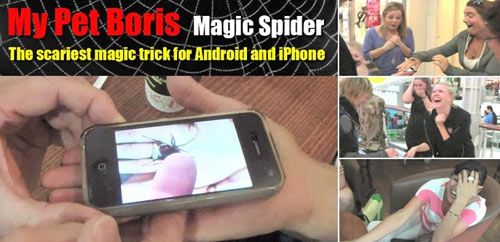 1a97e_Magic-Spider.jpg