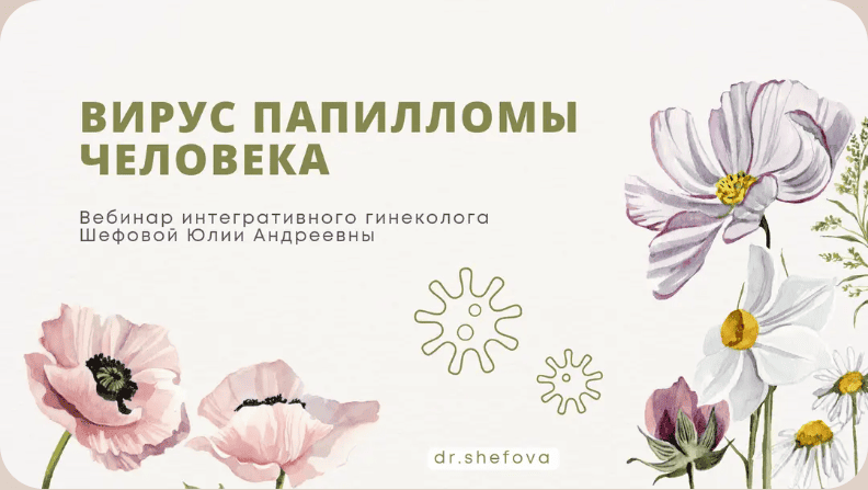 2026-07-24_19-06-33.png