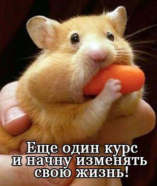 820eb657959b.jpg