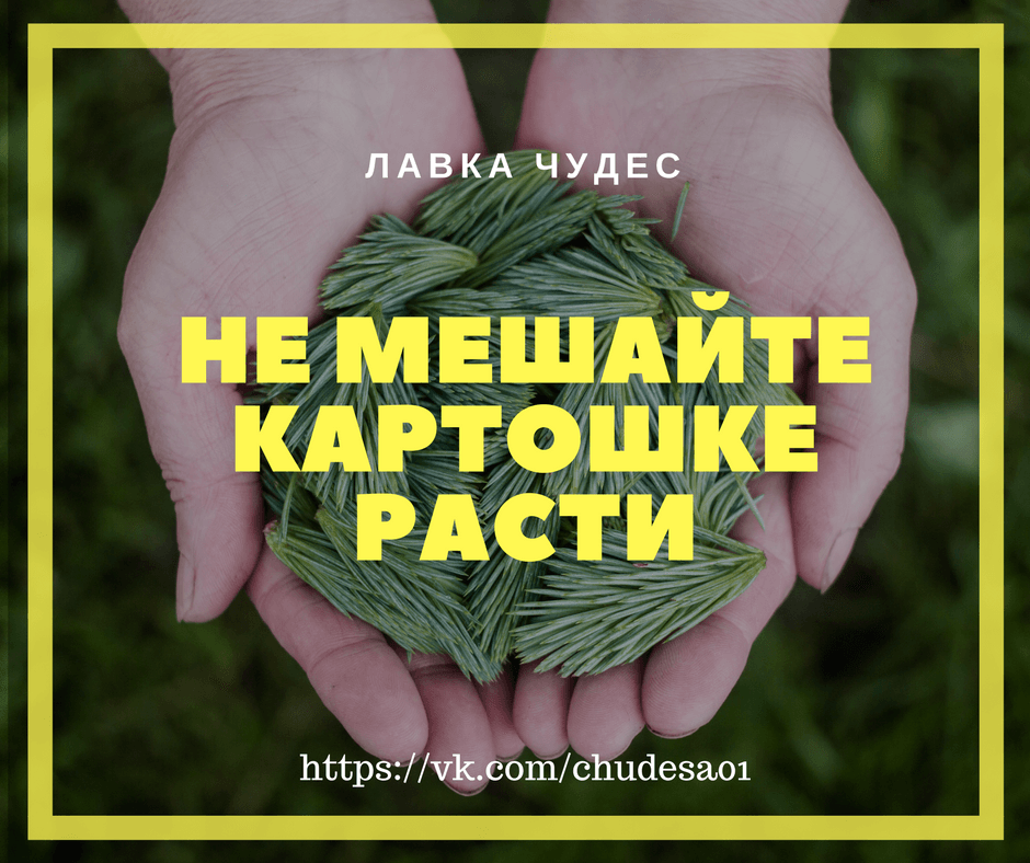 Доверяй Вселенной (1).png