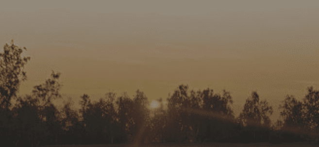  экрана 2025-09-13 162831.png