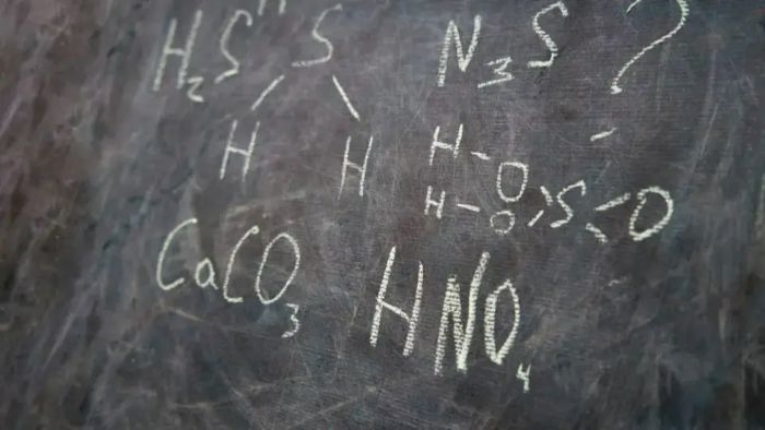 .jpg