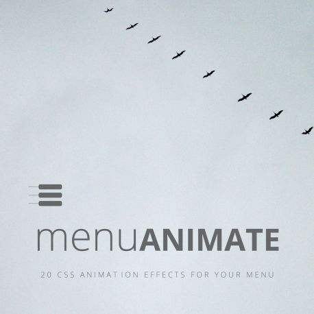 menu-animate.jpg