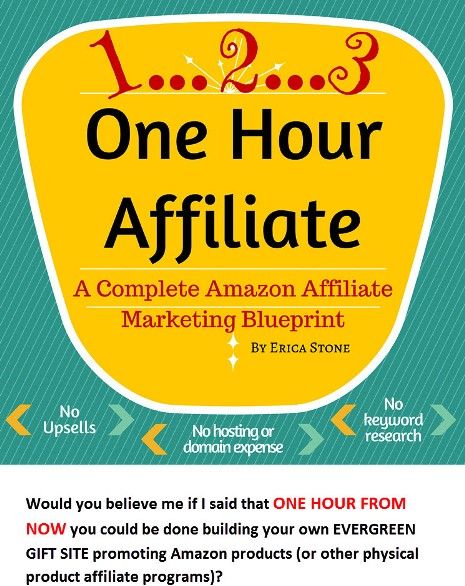 One Hour Affiliate 1_zpsoggo8ujb.jpg