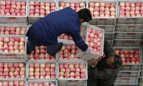 optovyj-biznes-na-fruktah.jpg