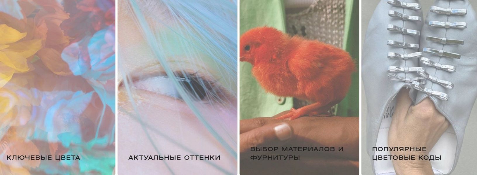  оттенки.JPG