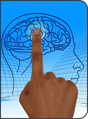 pasted image 0-u14969.png