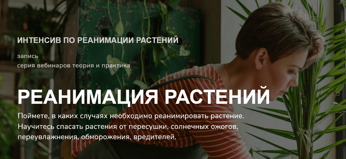  ПО РЕАНИМАЦИИ РАСТЕНИЙ.png