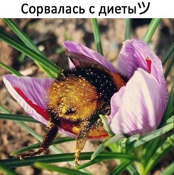 qYRAPhbPHsc.jpg