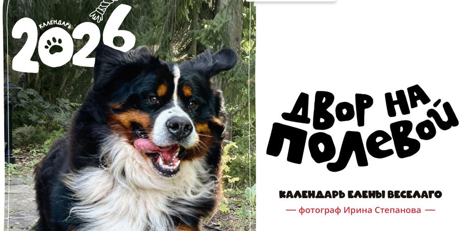 !Снимок.jpg