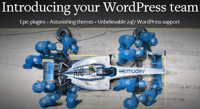 The WordPress Experts.png