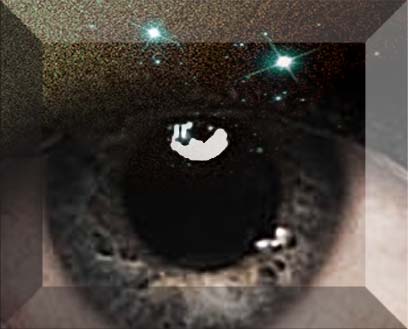 Tr.jpg