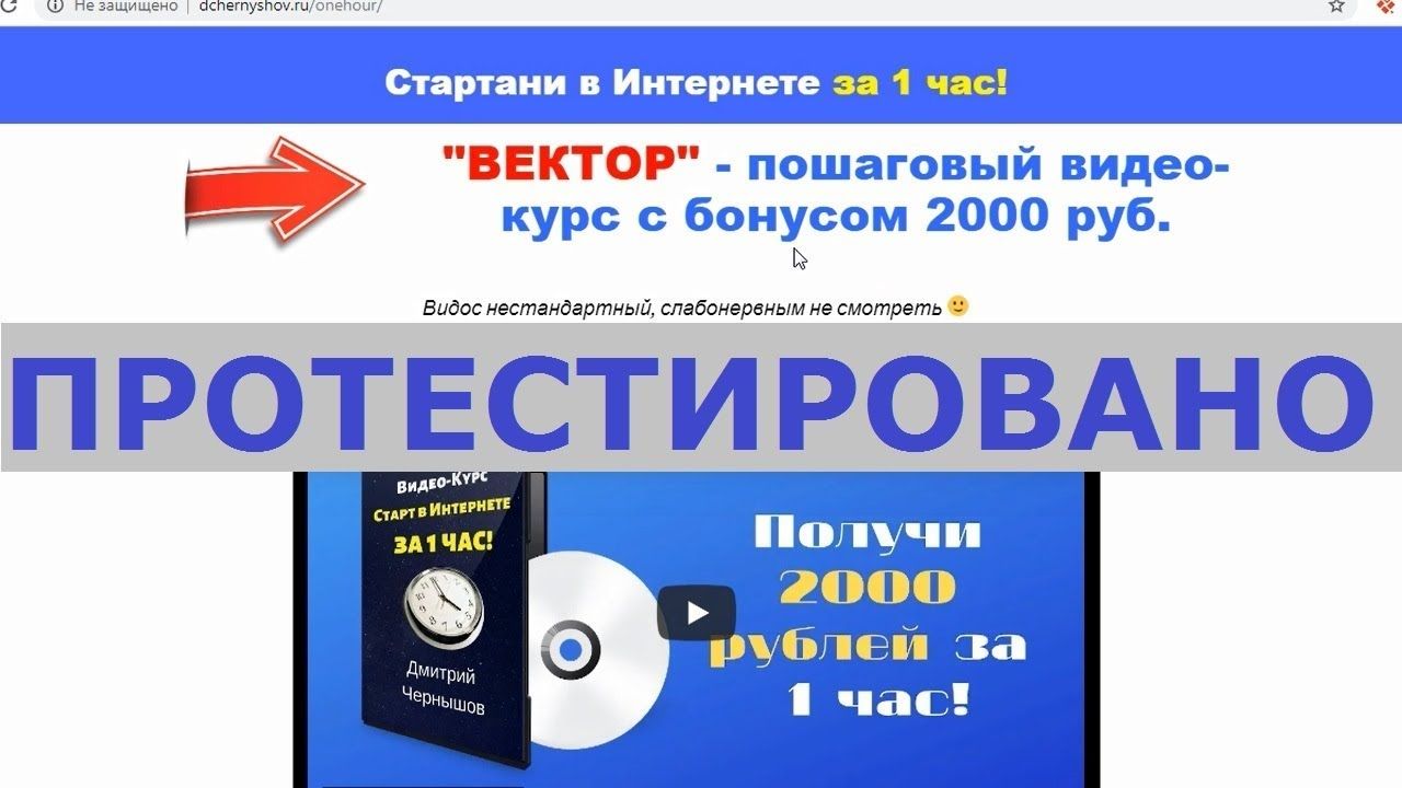 ВЕКТОР.jpg