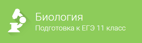 Вводное занятие   Биология  Подготовка к ЕГЭ  для 11 класса.png