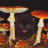 Воздух