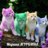 Марина Жу