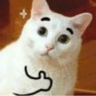 Lisi4kaa